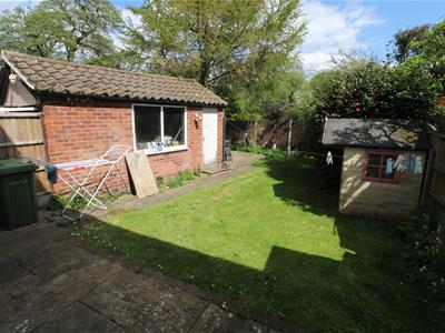 Picture 12